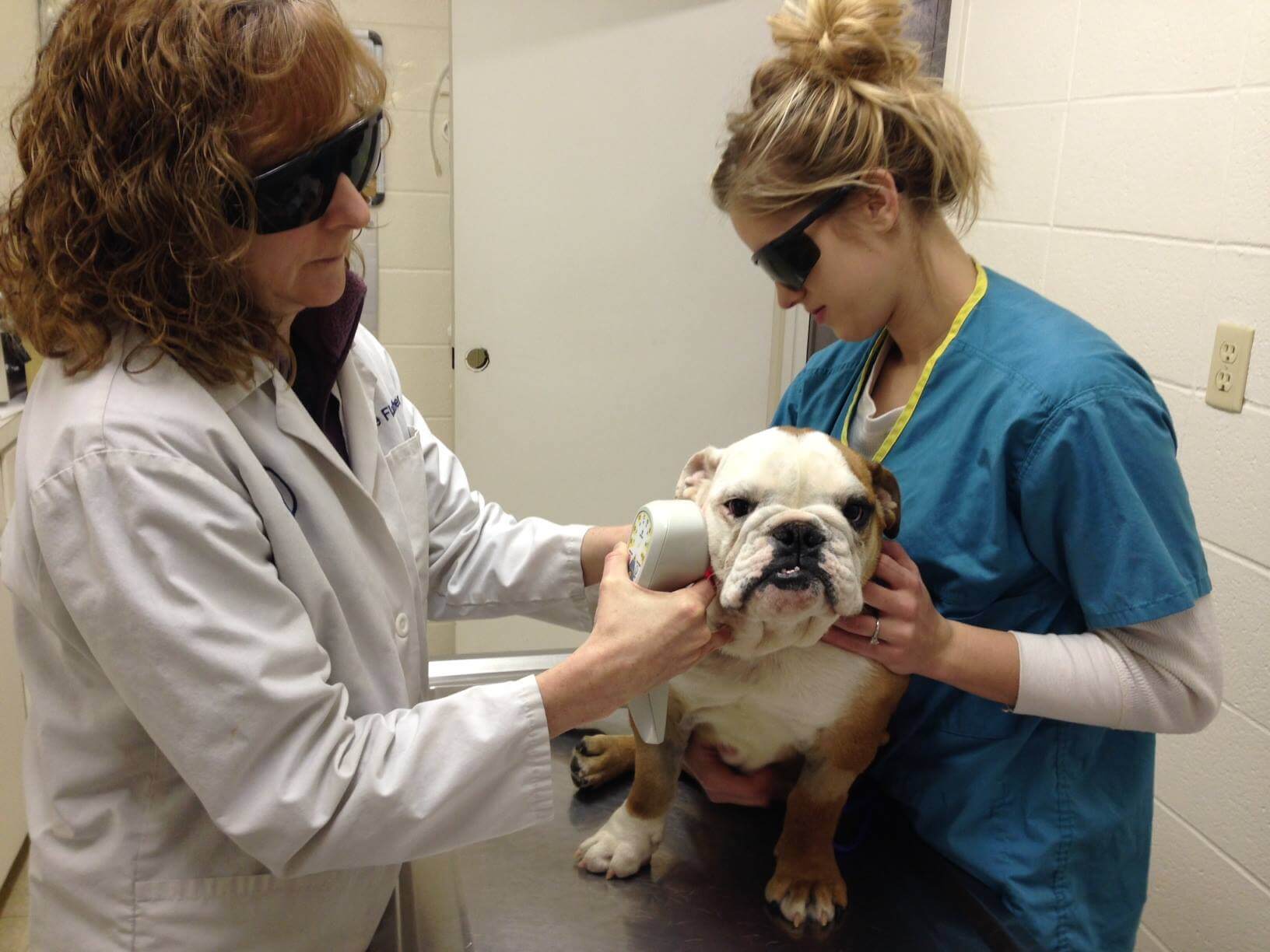 pet clinic in Springfiled MO mobile