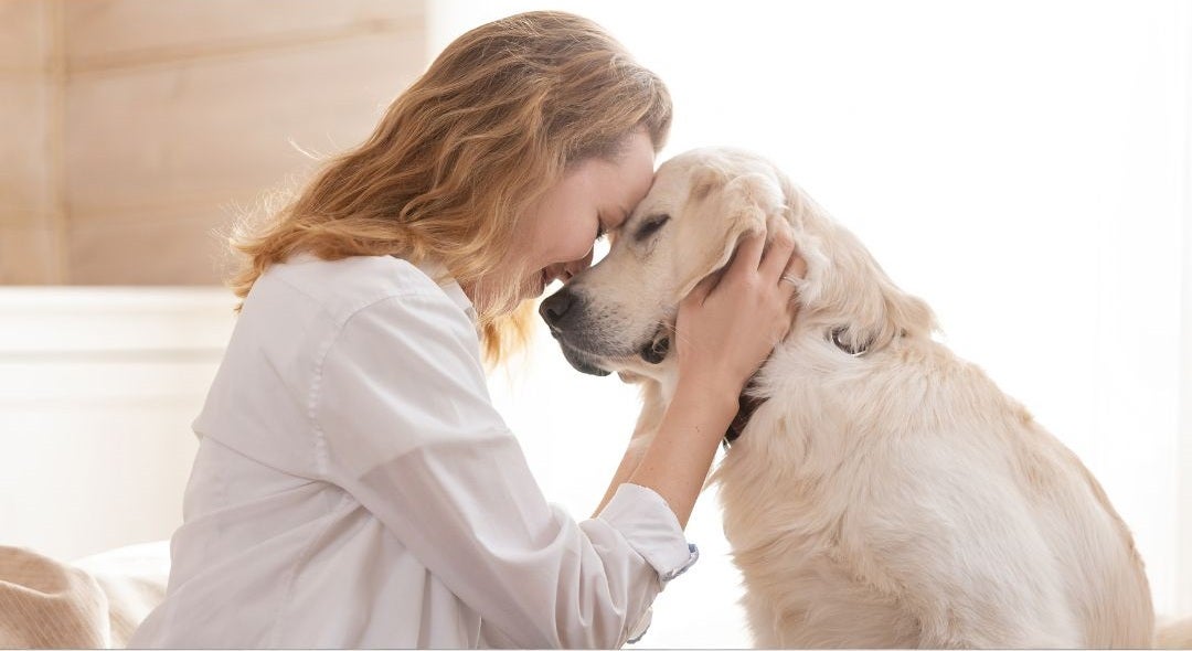 dog_probiotics