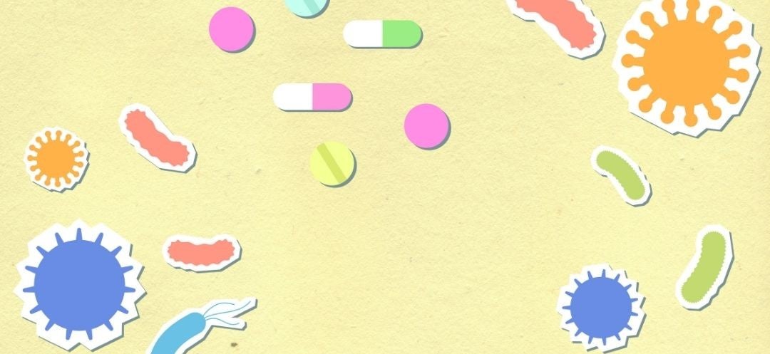 Why Probiotics Matter: A Natural Perspective on the Canine Microbiome