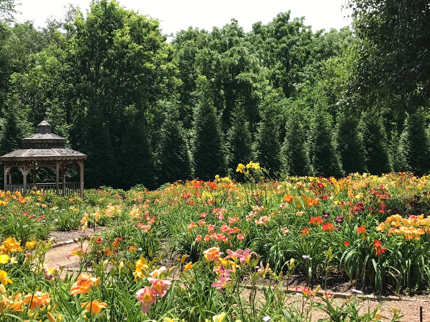 Springfield Botanical Garden