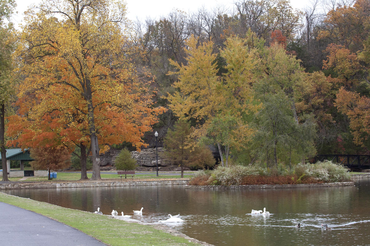 Dog-Friendly Parks in Springfield, MO