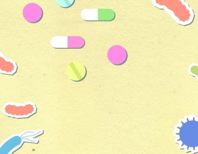 Why Probiotics Matter: A Natural Perspective on the Canine Microbiome