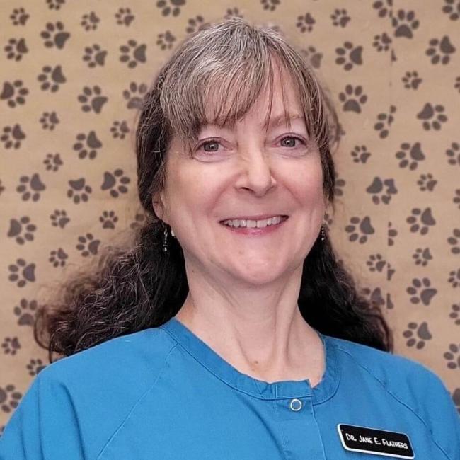 Dr Jane Flather